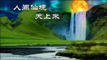 小猫钓鱼正版下载中文版