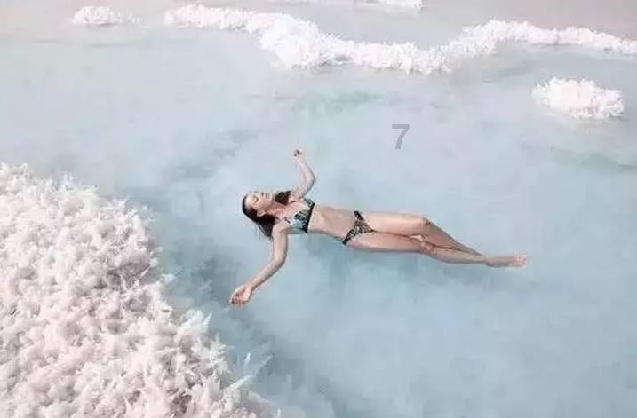 组装机械恐龙3