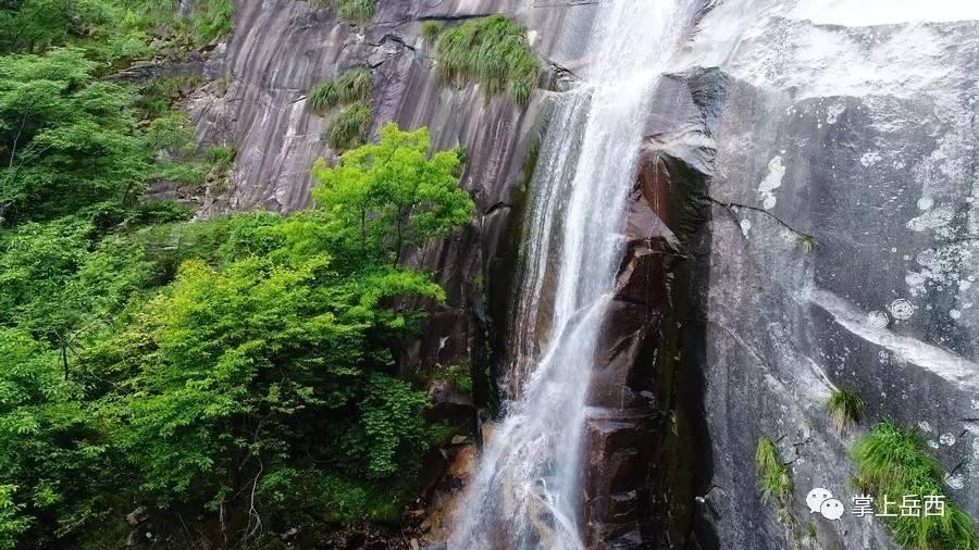 除虫大师