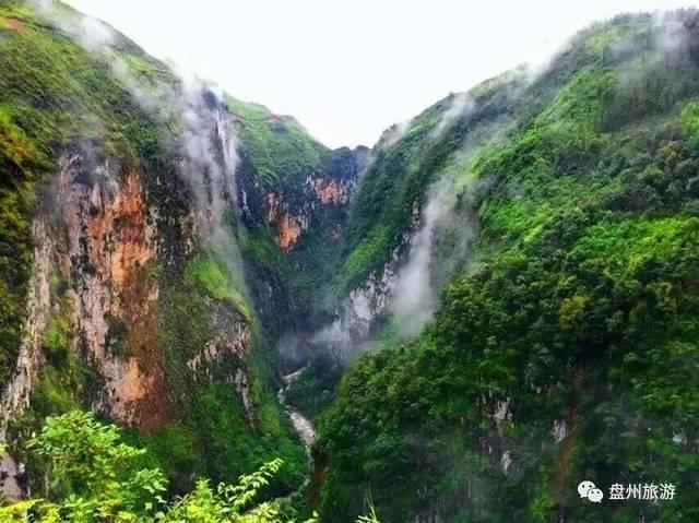 美式橄榄球大赛