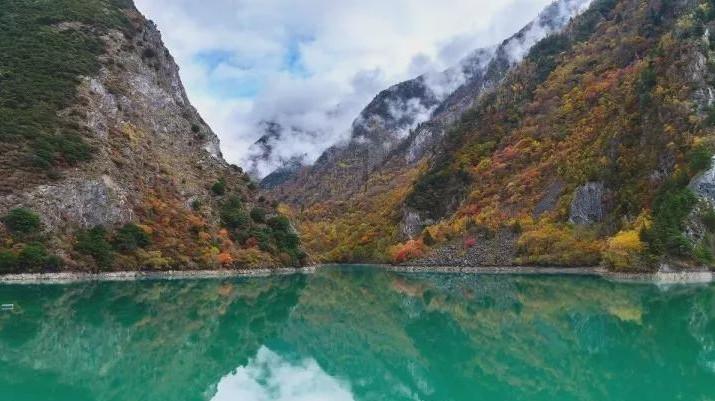青海湖北岸:生态环境治理加快实施 物种数量稳中有增