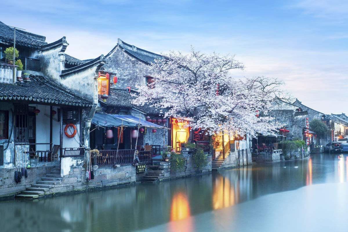 有趣的动物拼图